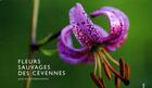 Couverture du livre « Fleurs sauvages des Cévennes » de Jean Du Boisberranger aux éditions Alcide