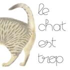 Couverture du livre « Le chat est trop » de Bastien Contraire et Caroline Cruzinha aux éditions La Partie