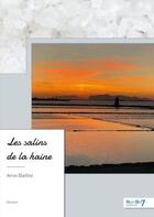 Couverture du livre « Les salins de la haine » de Anne Barthel aux éditions Nombre 7