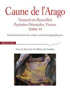 Couverture du livre « Caune de l'Arago t.6 ; individualisation des unités archéostratigraphiques » de Henry De Lumley aux éditions Cnrs