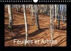 Couverture du livre « Feuilles et arbres calendrier mural 2020 din a4 horizontal - captive par les saisons calend (édition 2020) » de Seidl Hans aux éditions Calvendo