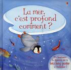 Couverture du livre « La mer, c'est profond comment ? » de Milbourne/Riglietti aux éditions Usborne