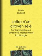 Couverture du livre « Lettre d'un citoyen zélé » de Denis Diderot aux éditions Bnf Collection