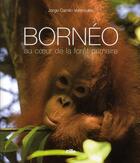 Couverture du livre « Bornéo ; au coeur de la forêt primaire » de Valenzuela. Jor aux éditions Vilo