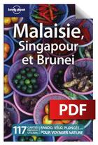 Couverture du livre « Malaisie, Singapour et Brunei (6e édition) » de Simon Richmond aux éditions Lonely Planet France