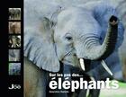 Couverture du livre « Sur les pas des éléphants » de Genevieve Hamelin aux éditions Joe