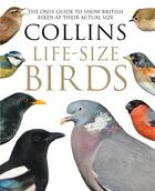 Couverture du livre « BIRDS - A LIFE-SIZED GUIDE » de Paul Sterry aux éditions William Collins