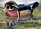 Couverture du livre « A la decouverte des canards du » de Patrick Casaert aux éditions Calvendo