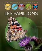 Couverture du livre « Les papillons » de Cathy Franco aux éditions Fleurus