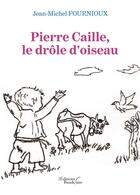 Couverture du livre « Pierre Caille, le drôle d'oiseau » de Jean Michel Fournioux aux éditions Baudelaire