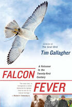 Couverture du livre « Falcon Fever » de Gallagher Tim aux éditions Houghton Mifflin Harcourt