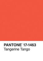 Couverture du livre « Pantone Tangerine Tango Journal/Color Of The Year » de Pantone Collective aux éditions Chronicle Books