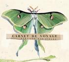 Couverture du livre « Carnet de voyage ; papillon » de Stefano Faravelli aux éditions Ici Est Ailleurs