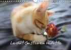 Couverture du livre « Le chat gaston en vedette calendrier mural 2018 din a4 horiz - photos inedites de gaston le c » de Brillard T aux éditions Calvendo