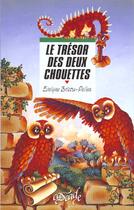 Couverture du livre « Le Tresor Des Deux Chouettes » de Evelyne Brisou-Pellen aux éditions Rageot