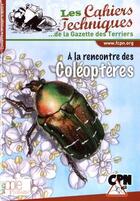 Couverture du livre « À la rencontre des coléoptères » de Bruno Meriguet et Laetitia Garlantezec aux éditions Fcpn