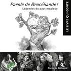 Couverture du livre « Parole de Brocéliande ! légendes du pays magique » de  aux éditions Daendrevi