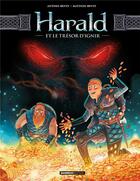 Couverture du livre « Harald et le trésor d'Ignir t.1 » de Antoine Brivet et Matthieu Brivet aux éditions Bamboo