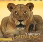 Couverture du livre « Animaux sauvages ; calendrier 2016 » de  aux éditions Place Des Victoires