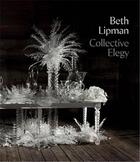 Couverture du livre « Beth lipman: collective elegy » de Lipman Beth aux éditions Dap Artbook