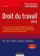 Couverture du livre « Droit du travail (édition 2019) » de Veronique Roy aux éditions Dunod