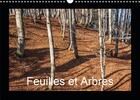 Couverture du livre « Feuilles et arbres calendrier mural 2020 din a3 horizontal - captive par les saisons calend » de Seidl Hans aux éditions Calvendo