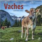 Couverture du livre « Vaches : calendrier (édition 2022) » de  aux éditions Place Des Victoires