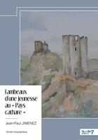 Couverture du livre « Lambeaux d'une jeunesse au 