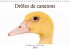 Couverture du livre « D adorables canetons calendrie » de Aurelie Fieschi aux éditions Calvendo