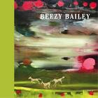 Couverture du livre « Beezy bailey » de Cork Richard aux éditions Circa