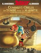 Couverture du livre « Comment Obélix est tombé dans la marmite du druide quand il était petit » de Rene Goscinny et Albert Uderzo aux éditions Albert Rene