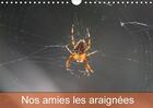 Couverture du livre « Nos amies les araignees calendrier mural 2018 din a4 horizon - le monde des araignees et des » de Julien M aux éditions Calvendo