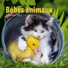 Couverture du livre « Bébés animaux : calendrier (édition 2022) » de  aux éditions Place Des Victoires