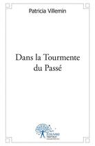 Couverture du livre « Dans la tourmente du passe » de Patricia Villemin aux éditions Edilivre