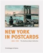 Couverture du livre « New york in postcards 1880-1980 » de Nbn aux éditions Scheidegger