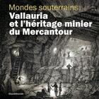 Couverture du livre « La minière de Vallauria » de Bruno Ancel aux éditions Silvana