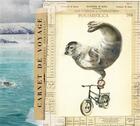 Couverture du livre « Carnet de voyage ; otarie » de Stefano Faravelli aux éditions Ici Est Ailleurs