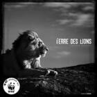 Couverture du livre « Terre des lions » de Baheux Laurent aux éditions Altus