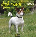 Couverture du livre « Calendrier jack russell terrier (2020) » de  aux éditions Artemis