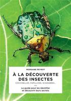 Couverture du livre « À la découverte des insectes : coccinelles, papilllons, scarabées... » de Morgane Peyrot aux éditions Larousse
