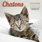 Couverture du livre « Chatons (édition 2018) » de  aux éditions Artemis