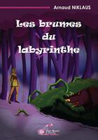 Couverture du livre « Les brumes du labyrinthe » de Arnaud Niklaus aux éditions Alexandra De Saint Prix