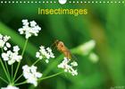 Couverture du livre « Photographies d insectes calen » de Lionel Marcu aux éditions Calvendo