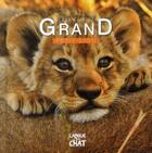Couverture du livre « DEVENIR GRAND ; petit lion » de Pierre Demoitie aux éditions Langue Au Chat