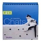 Couverture du livre « Calendrier chats Géo » de  aux éditions Play Bac