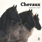 Couverture du livre « Calendrier chevaux (édition 2020) » de  aux éditions Place Des Victoires