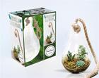 Couverture du livre « Coffret ampoule terrarium » de  aux éditions Marabout