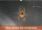 Couverture du livre « Nos amies les araignees calendrier mural 2018 din a3 horizon - le monde des araignees et des » de Julien M aux éditions Calvendo
