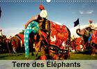 Couverture du livre « Terre des elephants calendrier mural 2020 din a3 horizontal - des quelques 300 especes de ma » de Dominique Leroy aux éditions Calvendo