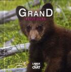 Couverture du livre « DEVENIR GRAND ; petit ours » de Pierre Demoitie aux éditions Langue Au Chat